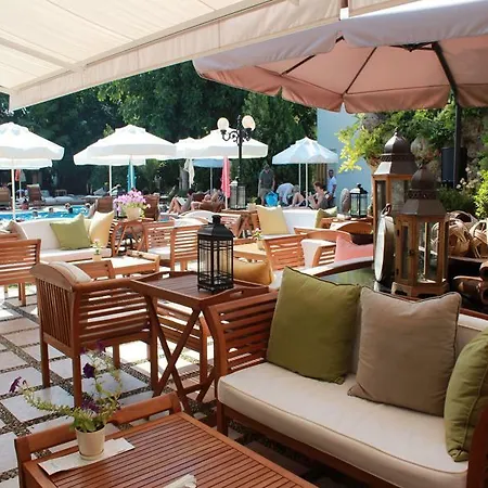 Sunprime Dogan - Adults Only Side